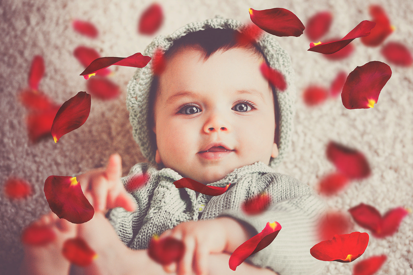 Sweet floaty Red Rose Petals! Png clipart confetti, Overlays for photographers, Photoshop Overlay, digital edits, photoshop. Photography Editing graphic assets. Red, gold, falling valentine love. Wedding, Couples Photo. High resolution, ATP textures.